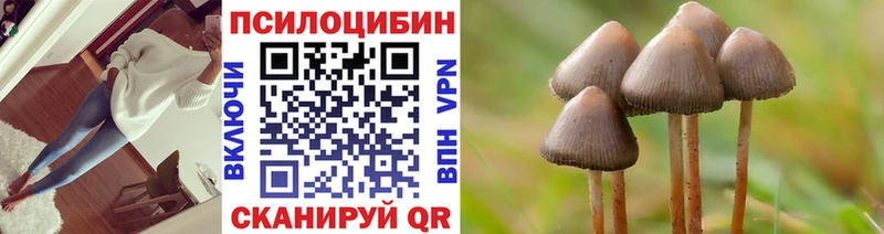 Галлюциногенные грибы Magic Shrooms  shop как зайти  Кудрово 
